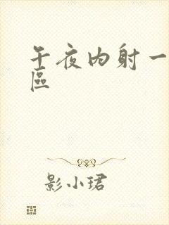 午夜内射一区二区