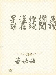 星汉灿烂原著小说在线阅读