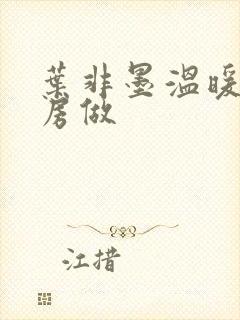 叶非墨温暖在厨房做