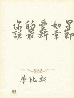 你的爱如星光小说最新章节