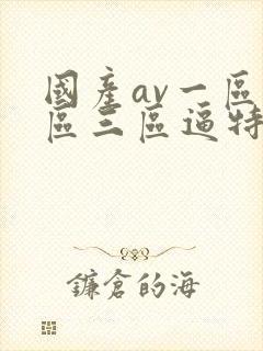 国产av一区二区三区逼特逼封面