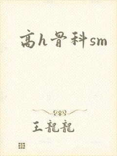 高h骨科sm