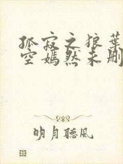 孤寂之狼叶凡司空嫣然未删减txt