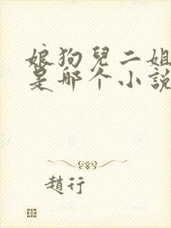 娘狗儿二姐大姐是哪个小说里的