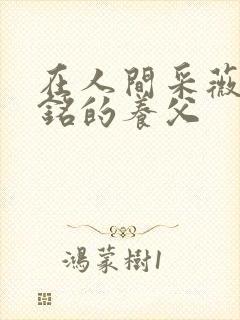 在人间采薇和阿铭的养父