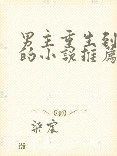 男主重生到古代的小说推荐封面