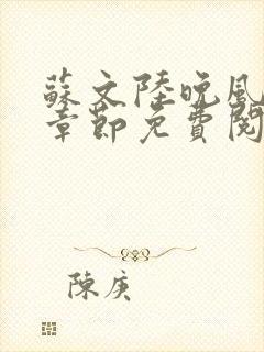 苏文陆晚风最新章节免费阅读笔趣阁