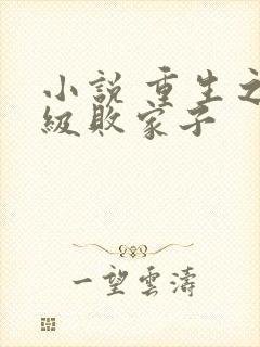 小说 重生之神级败家子