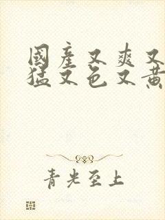 国产又爽又粗又猛又色又黄网站.