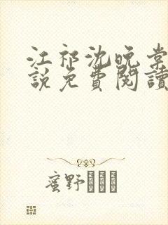 江祁沈晚棠的小说免费阅读封面