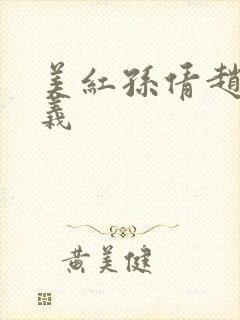 美红孙倩赵敏高义