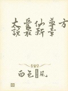 大爱仙尊方源小说最新章封面
