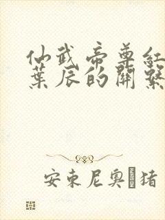 仙武帝尊红尘与叶辰的关系