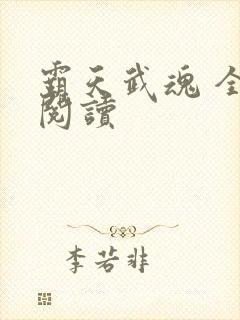 霸天武魂 全文阅读