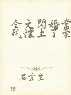 全文闪婚当天,我怀上了豪门继承人