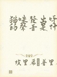 猫咪发出呼噜噜的声音是什么情况