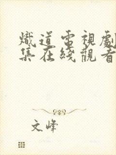 炽道电视剧40集在线观看免费