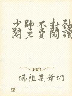 少帅不对劲笔趣阁免费阅读小说