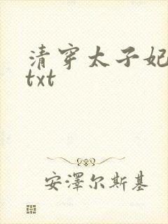 清穿太子妃日常txt封面