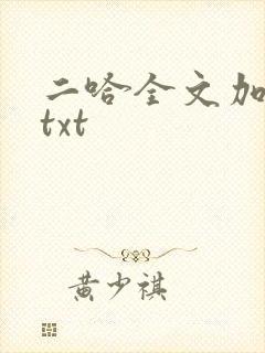 二哈全文加番外txt