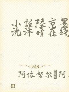 小说陆京墨沈意沈沐晴在线阅读