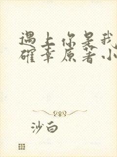 遇上你是我的小确幸原著小说