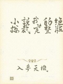 小说我的绝色女总裁完整版