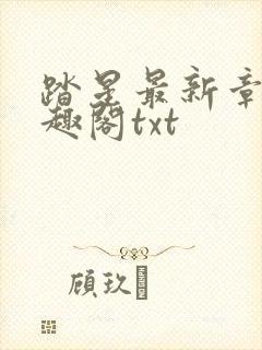 踏星最新章节笔趣阁txt