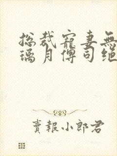 总裁宠妻无度沈璃月傅司绝