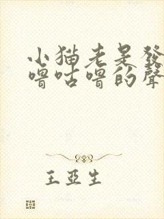 小猫老是发出咕噜咕噜的声音,怎么回事