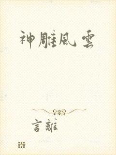 神雕风云封面