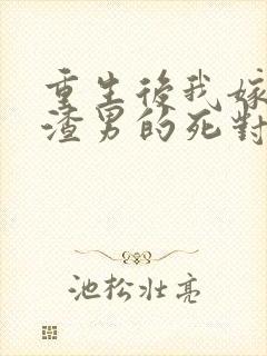 重生后我嫁给了渣男的死对头在线版封面