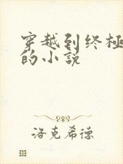 穿越到终极斗罗的小说