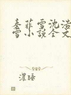 秦菲雪沈浩秦菲雪小说全文免费阅读求书