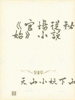 《官场从秘书开始》小说