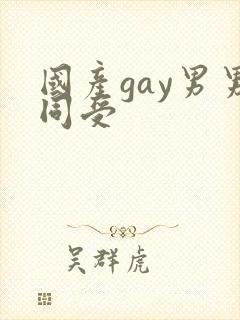 国产gay男男同受封面