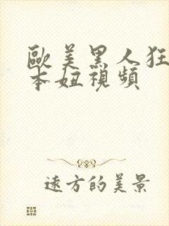 欧美黑人狂躁日本妞视频