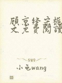 顾京绛宋栀叙全文免费阅读最新章节