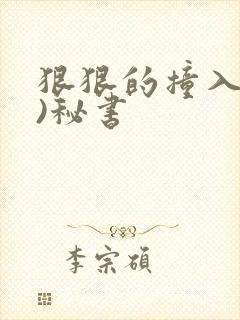 狠狠的撞入(h)秘书封面