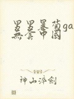 男男暴菊gay无套中国