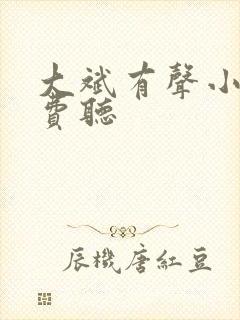 大斌有声小说免费听