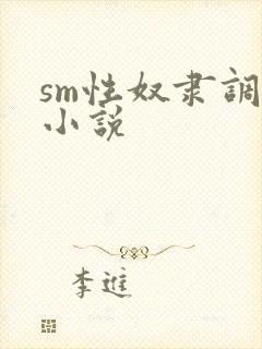 sm性奴隶调教小说封面