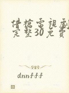 借枪电视剧全集完整30免费观看封面