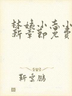 林姨小志小说最新章节免费阅读封面