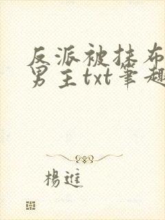 反派被抹布文双男主txt笔趣阁