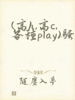 (高h,高c,各种play)骚话1v1