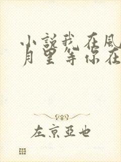 小说我在风花雪月里等你在线阅读