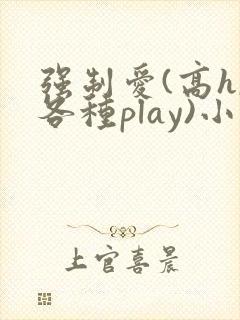 强制爱(高h,各种play)小说