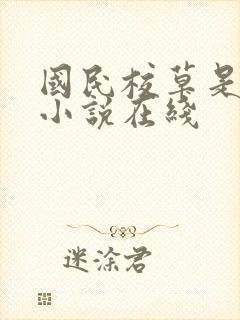 国民校草是女生小说在线