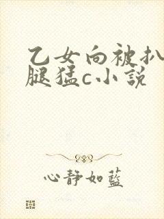 乙女向被扒开双腿猛c小说
